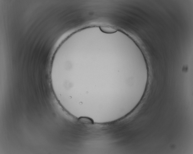 X0000115791248200912241825