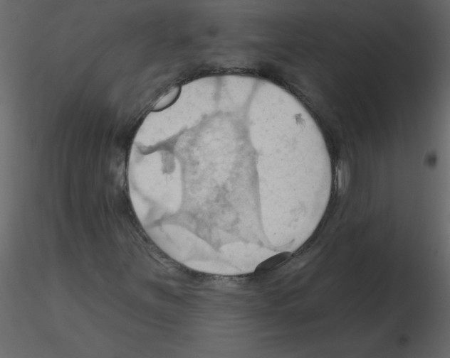 X0000115791251200912241824