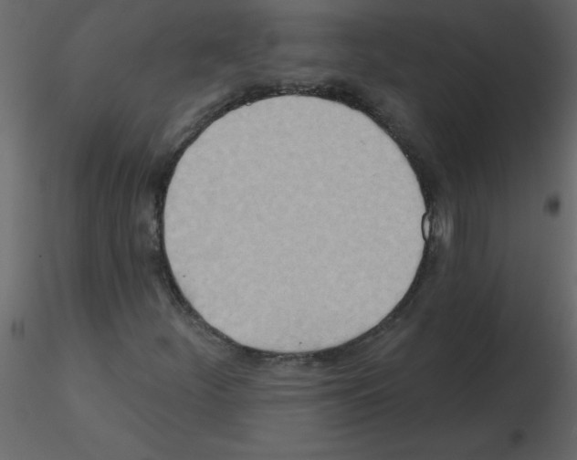 X0000115791252200912241824