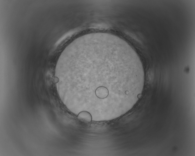 X0000115791254200912241824