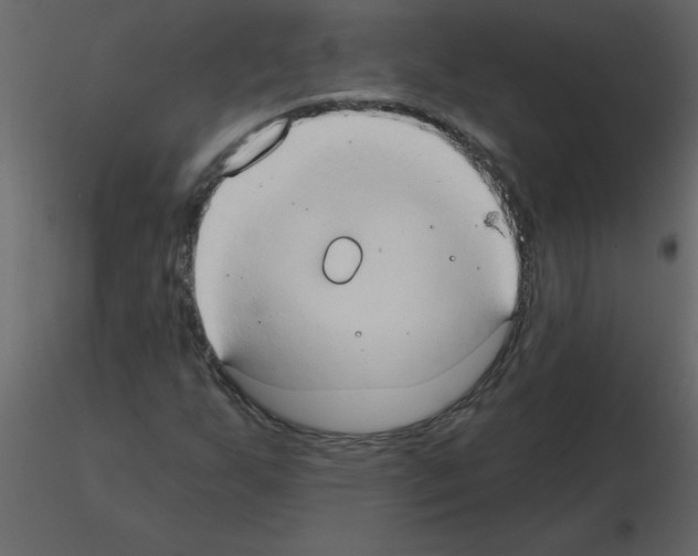 X0000115791255200912241824