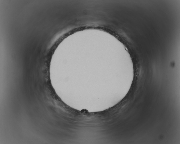 X0000115791256200912241824