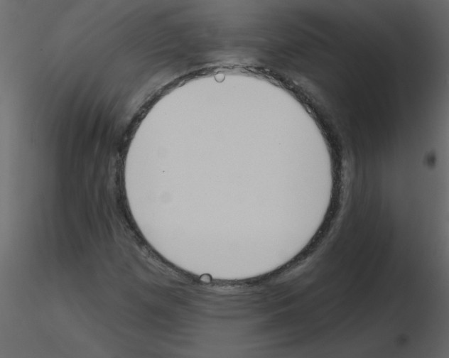 X0000115791257200912241824