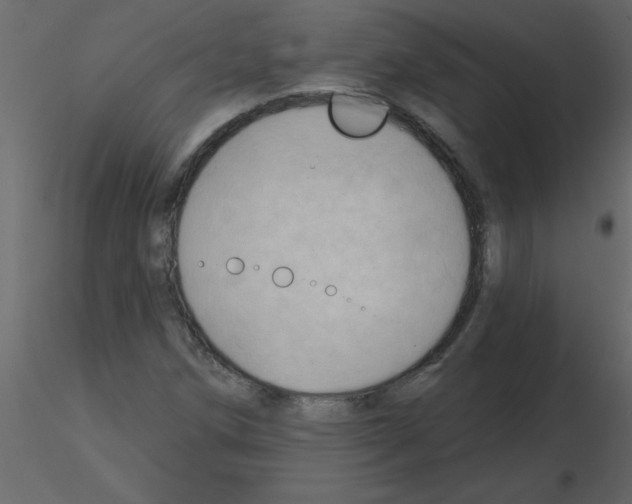 X0000115791258200912241824
