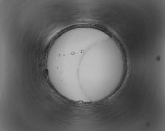 X0000115791259200912241824