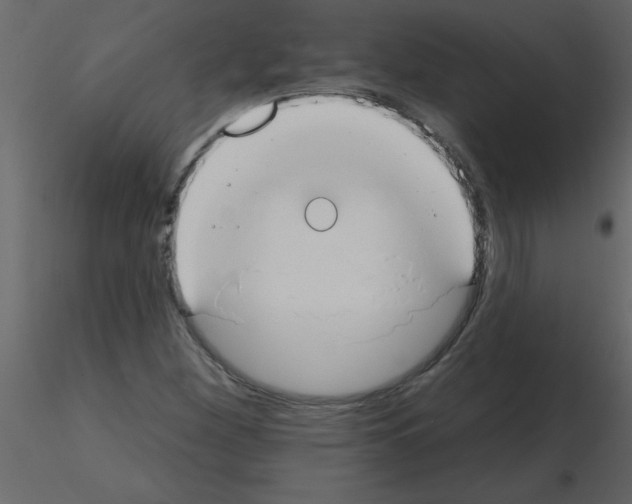 X0000115791260200912241824