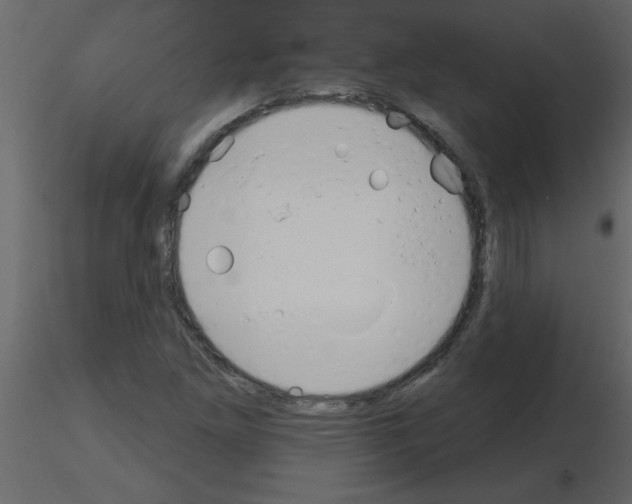 X0000115791261200912241824