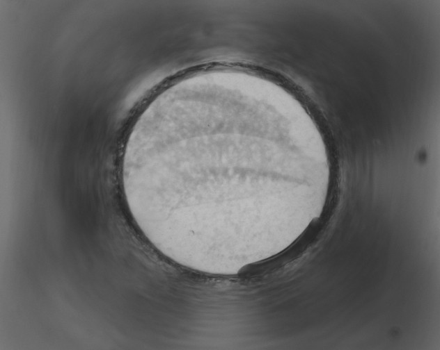 X0000115791263200912241824