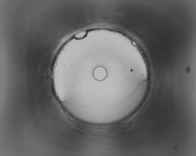 X0000115791264200912241824