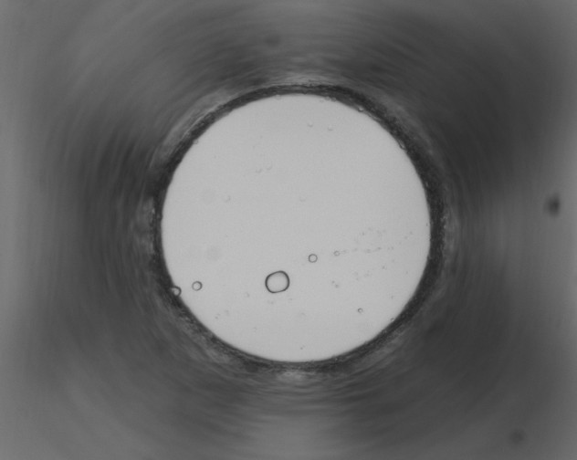 X0000115791265200912241824