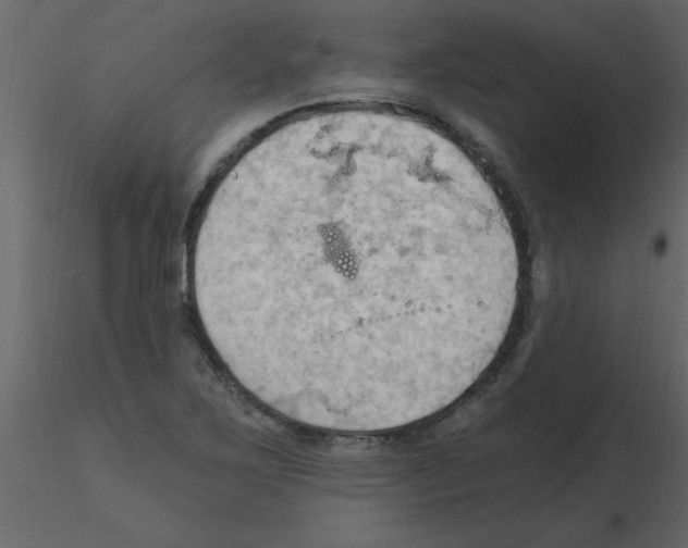 X0000115791267200912241824