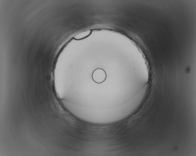 X0000115791268200912241824
