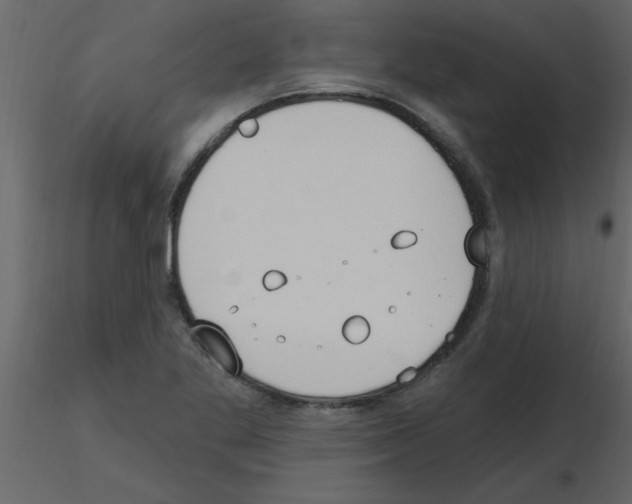 X0000115791269200912241824