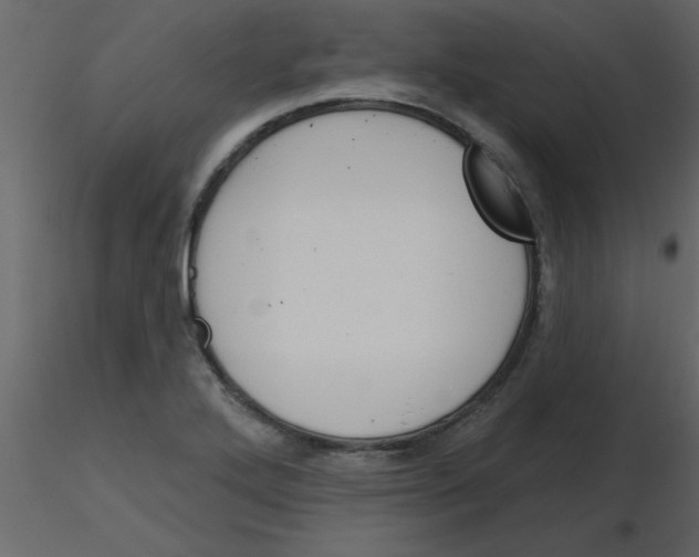 X0000115791272200912241824