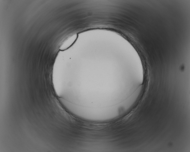 X0000115791273200912241824