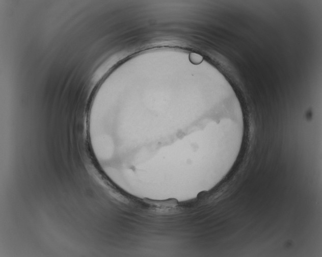 X0000115791274200912241824