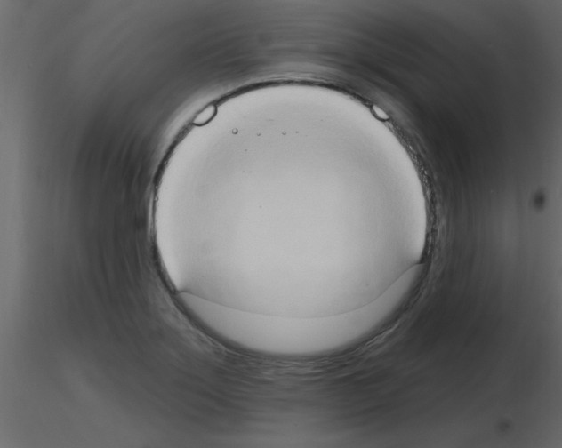 X0000115791275200912241824