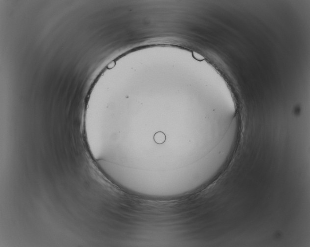 X0000115791276200912241824