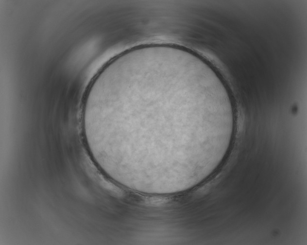 X0000115791278200912241824