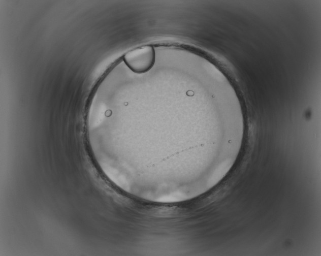X0000115791279200912241824