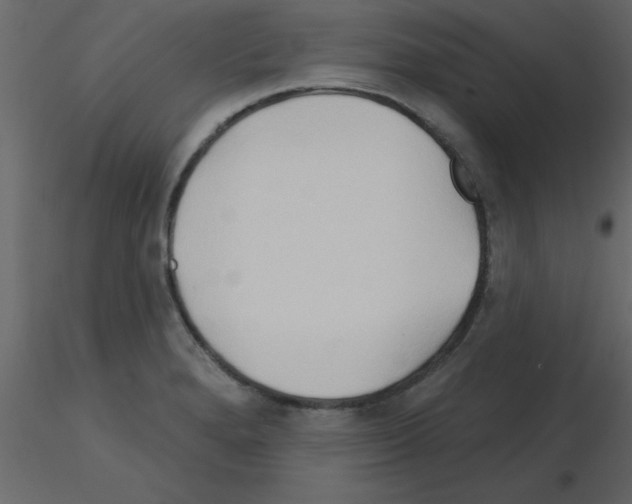 X0000115791280200912241824