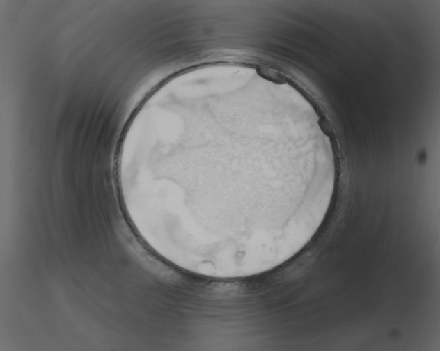 X0000115791283200912241824