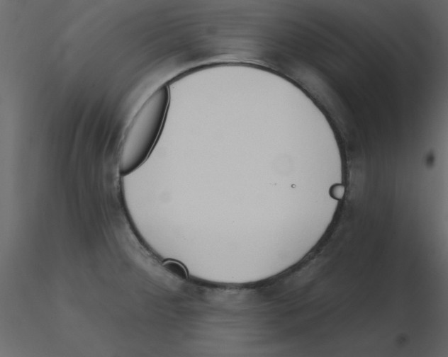 X0000115791284200912241824