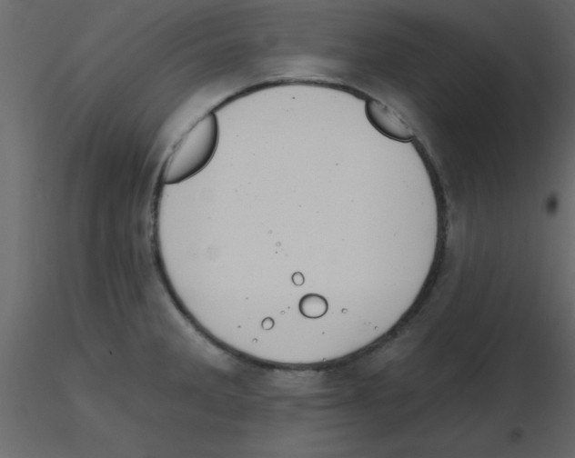 X0000115791285200912241824