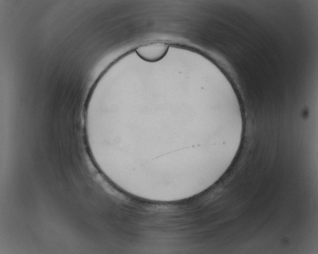 X0000115791287200912241824