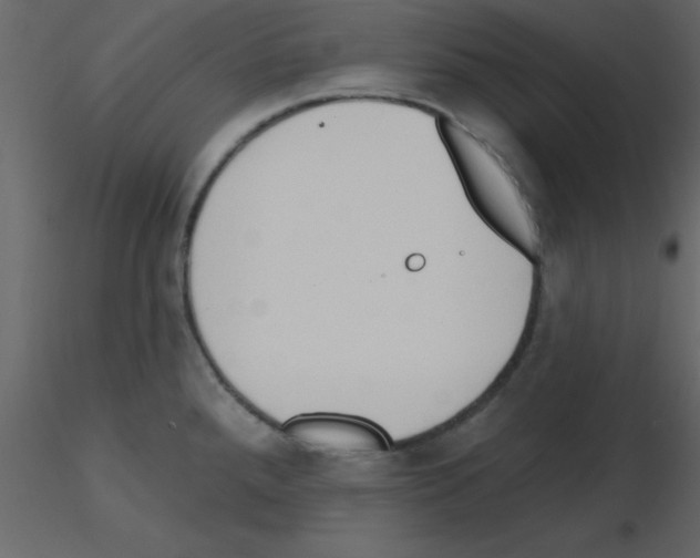 X0000115791288200912241824