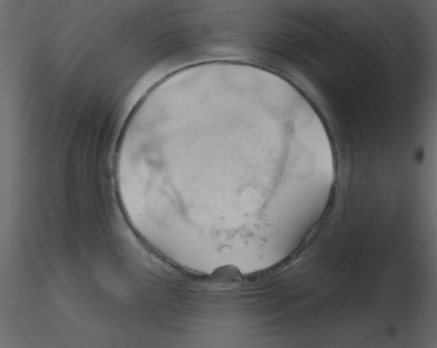 X0000115791291200912241824