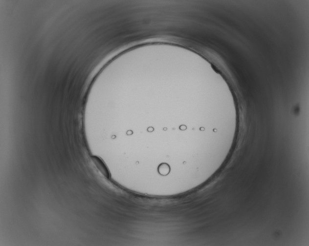 X0000115791292200912241824