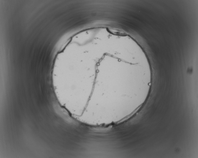 X0000115791296200912241824
