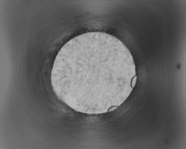 X0000115791297200912241823