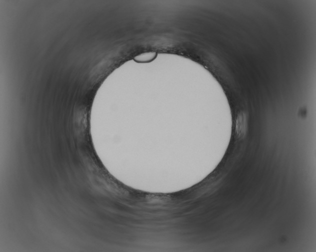 X0000115791299200912241823