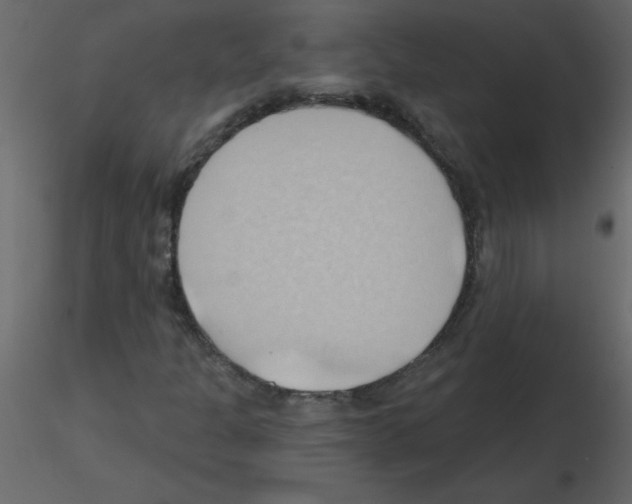 X0000115791301200912241823