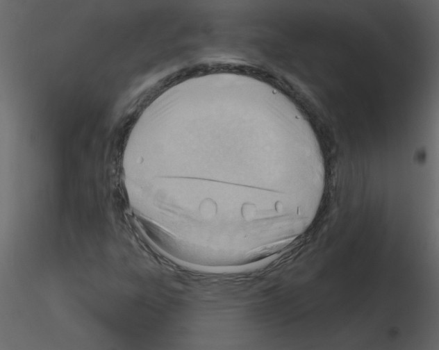 X0000115791303200912241823