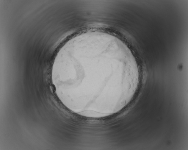 X0000115791305200912241823