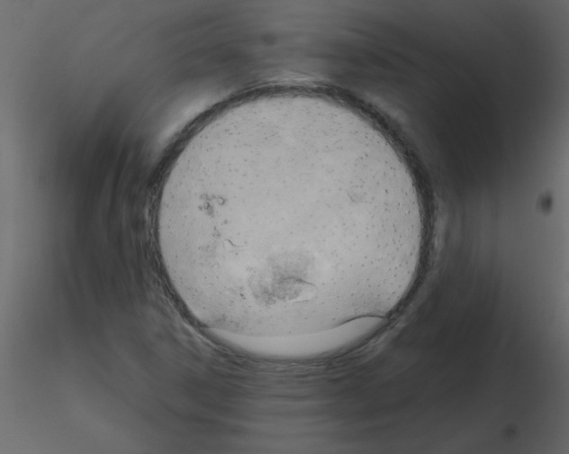 X0000115791306200912241823