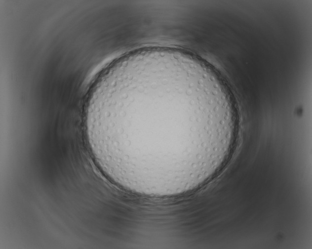 X0000115791307200912241823