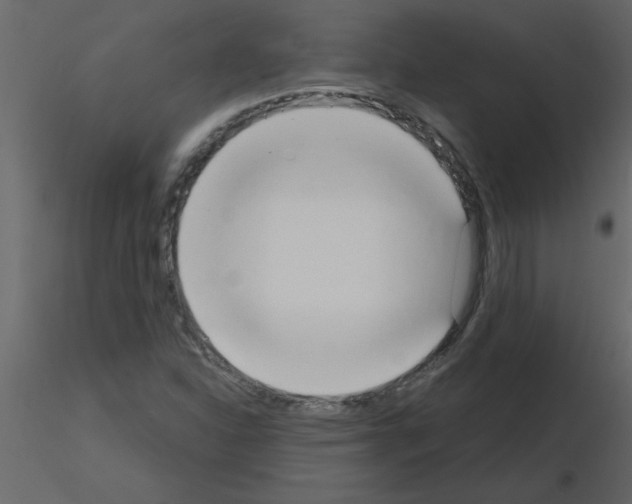 X0000115791310200912241823