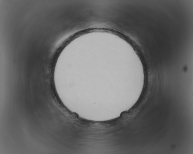 X0000115791311200912241823