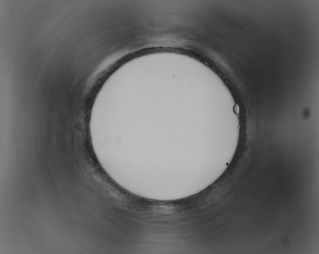 X0000115791315200912241823