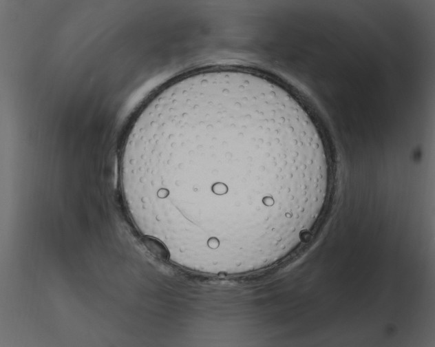 X0000115791317200912241823