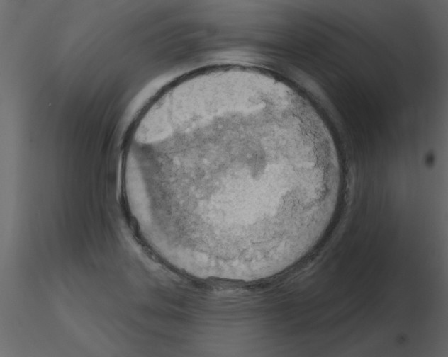 X0000115791323200912241823