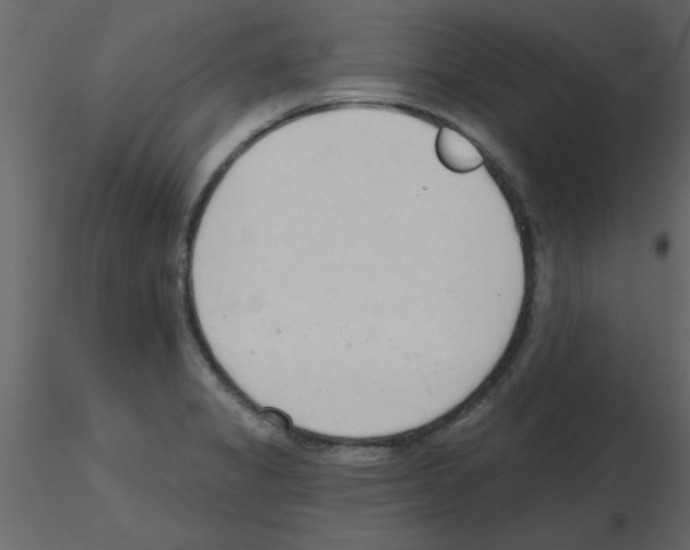 X0000115791325200912241823