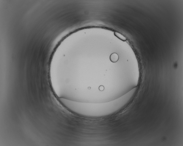 X0000115791326200912241823