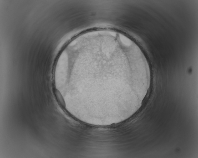 X0000115791327200912241823