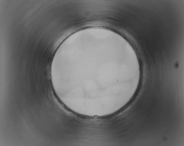 X0000115791329200912241823