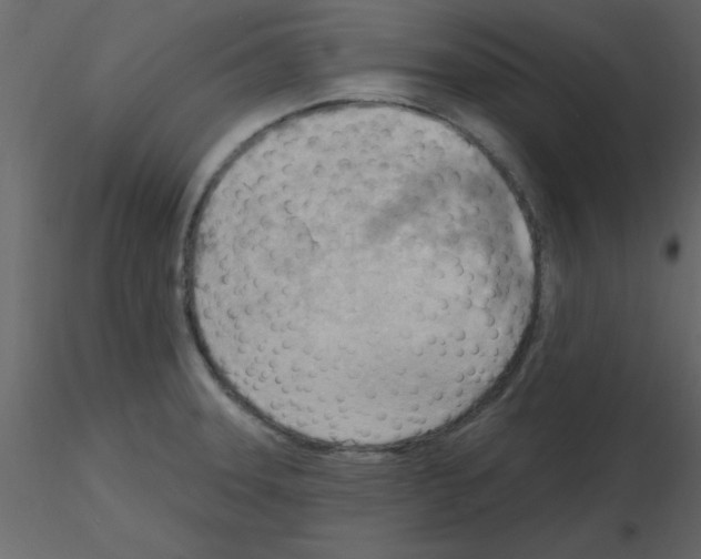 X0000115791331200912241823